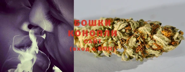 сатива Михайловск