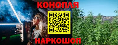 индика Абакан